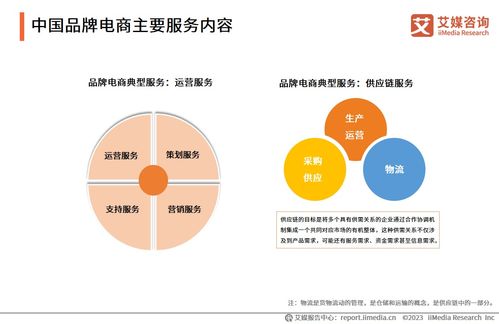 2023年中國品牌電商服務行業(yè)研究報告 信息咨詢服務解析